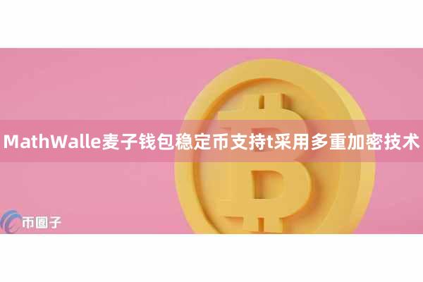 MathWalle麦子钱包稳定币支持t采用多重加密技术