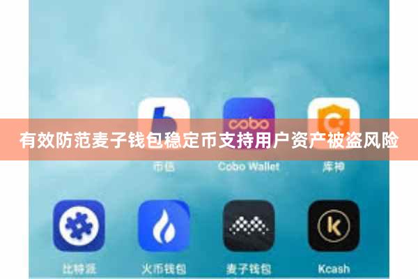 有效防范麦子钱包稳定币支持用户资产被盗风险